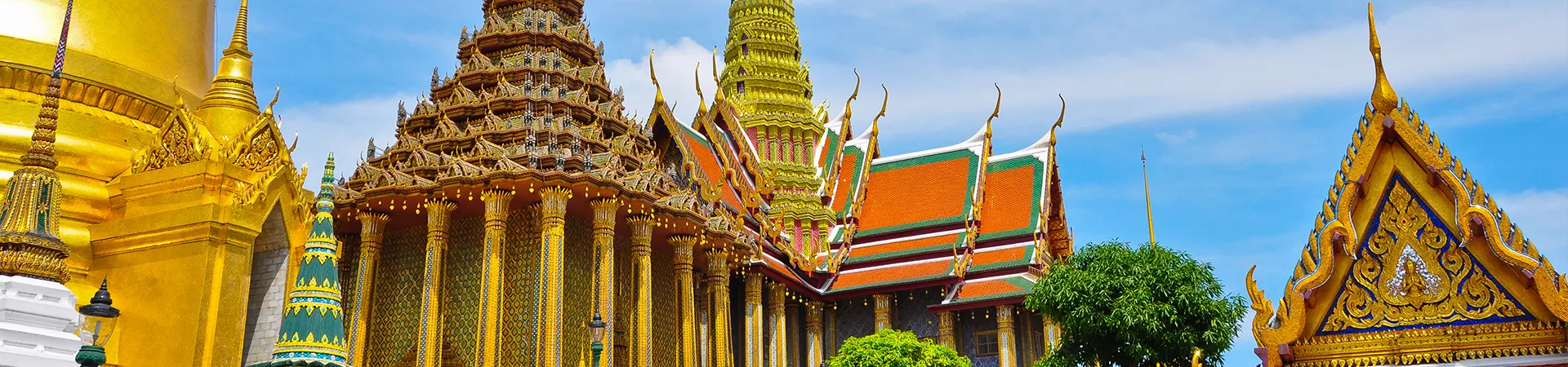 两个戴着彩色帽子的婴儿