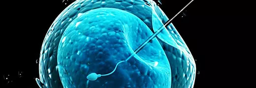 第一代试管婴儿技术示意图